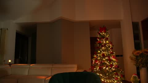 Jennifer Diaz online show from 12-13-24, 08:37