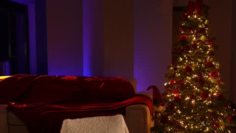 Jennifer Diaz online show from 12-21-24, 06:23