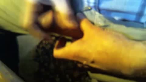 Snapshot of jt335577 chatting on 01-27-25, 07:46 jt335577 online show from 01-27-25, 07:46