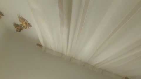 JuanmaSEX online show from 11-14-25, 03:27