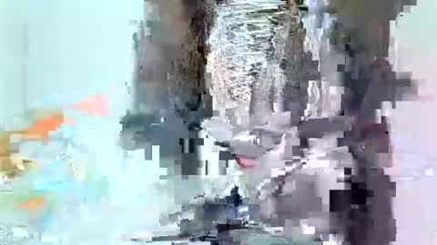 Snapshot of juicyebonitaa chatting on 11-04-25, 06:45 juicyebonitaa online show from 11-04-25, 06:45