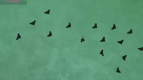 Snapshot of juicyjullia chatting on 11-05-25, 08:47 Julia online show from 11-05-25, 08:47