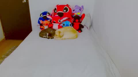  Juliana Torres  online show from 02-25-26, 08:29