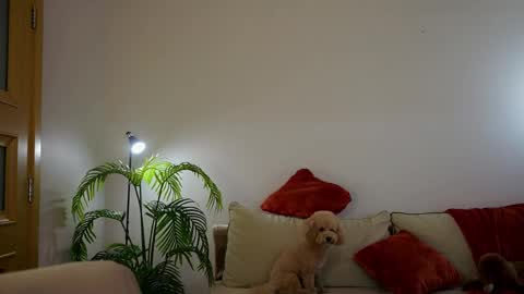 Molly online show from 04-24-26, 03:03