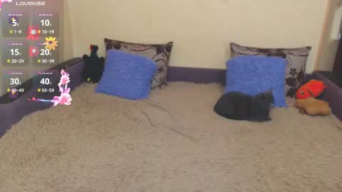 Jul online show from 02-05-26, 07:35