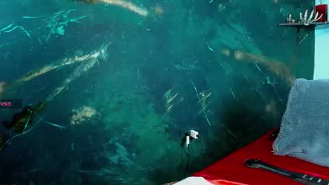    online show from 02-20-26, 06:59