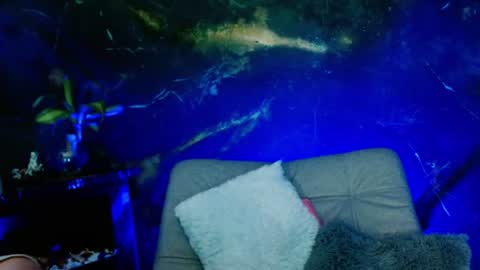   online show from 06-26-26, 08:08