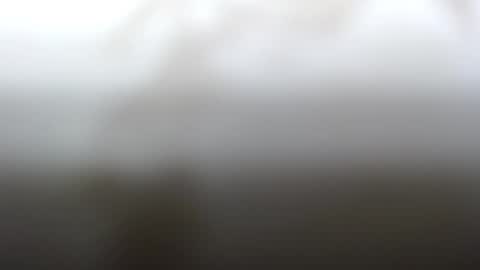 Snapshot of junk_yard_dog chatting on 02-04-25, 02:21 Dave online show from 02-04-25, 02:21