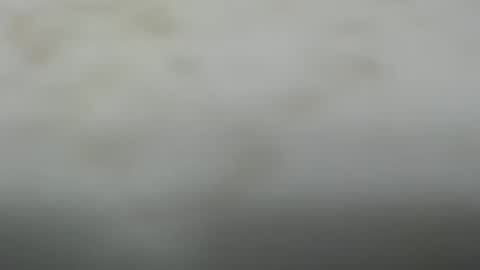 Snapshot of junk_yard_dog chatting on 10-20-25, 01:55 Dave online show from 10-20-25, 01:55