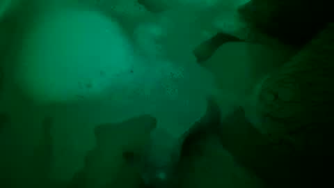 Yuri online show from 12-22-24, 06:48