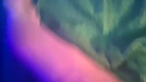 Yuri online show from 03-08-25, 12:11