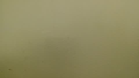 Just marlon online show from 01-17-25, 02:39