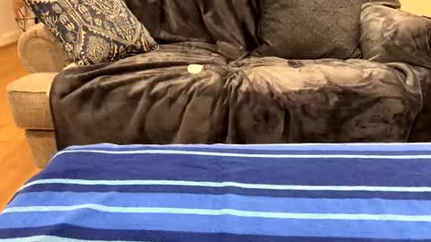 Snapshot of just_ur_avg_cpl chatting on 02-17-25, 12:32 justuravgdad justuravgmom online show from 02-17-25, 12:32