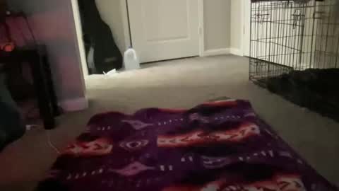 JustinCase online show from 03-14-26, 10:42