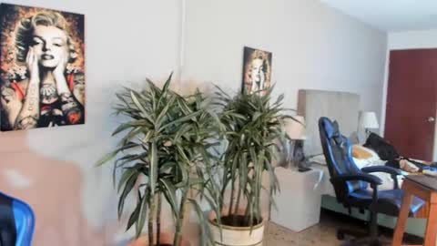 Snapshot of kai_storn chatting on 04-29-26, 05:30 kai_storn online show from 04-29-26, 05:30