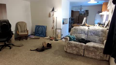 Kaiku77 online show from 01-05-26, 08:01