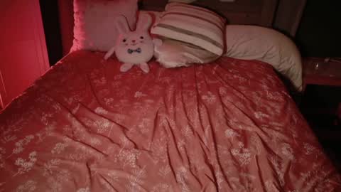 Snapshot of kaileeshy chatting on 11-18-25, 04:28 Kailee Smile online show from 11-18-25, 04:28