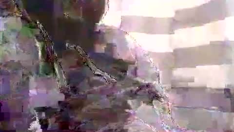 Snapshot of karnyx3 chatting on 01-01-25, 10:54 Karlos Montoya online show from 01-01-25, 10:54