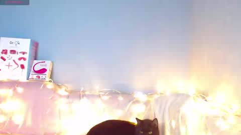 Snapshot of karolina_hottie_ chatting on 01-12-25, 06:39 Kira online show from 01-12-25, 06:39