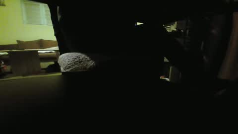 Snapshot of kaskaderns chatting on 01-19-25, 09:13 Stojko online show from 01-19-25, 09:13