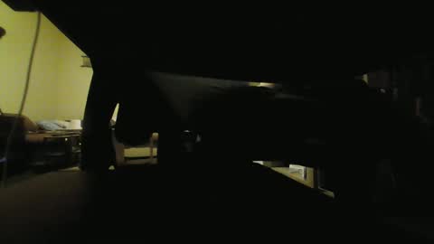 Snapshot of kaskaderns chatting on 01-29-25, 09:50 Stojko online show from 01-29-25, 09:50