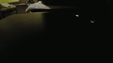 Snapshot of kaskaderns chatting on 02-23-25, 09:05 Stojko online show from 02-23-25, 09:05