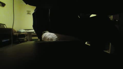 Snapshot of kaskaderns chatting on 10-18-25, 08:09 Stojko online show from 10-18-25, 08:09