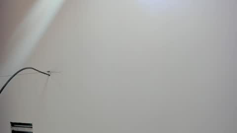 Kate  online show from 02-18-26, 12:01