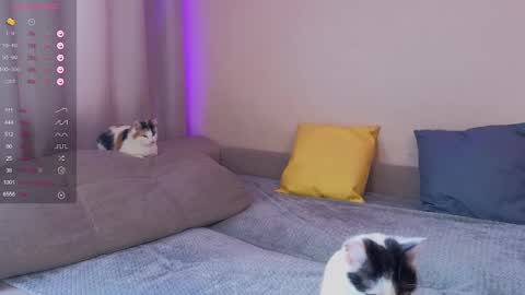 Katerina online show from 01-30-25, 05:52