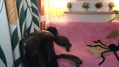 kathie_lozada online show from 10-31-25, 06:03