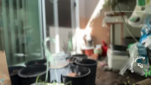 Princesse Kat  online show from 04-18-26, 10:21