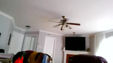 Snapshot of kawa98karbu chatting on 06-11-26, 12:25 kawa98karbu online show from 06-11-26, 12:25