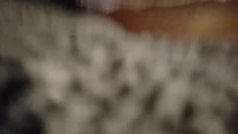 kawaiibabypie online show from 05-07-26, 08:31