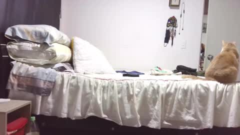  Khawit  online show from 10-29-25, 12:07