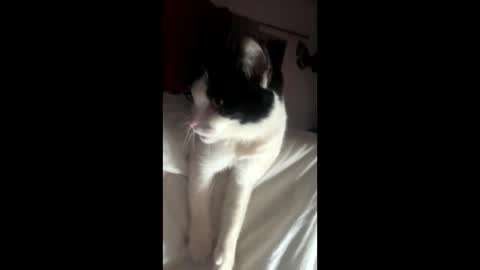 Snapshot of kay_la chatting on 10-04-25, 10:13 kay_la online show from 10-04-25, 10:13