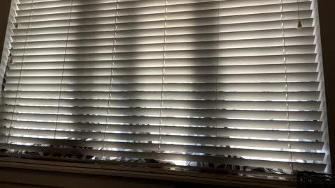 Snapshot of keepquietj chatting on 02-07-25, 09:48 keepquietj online show from 02-07-25, 09:48