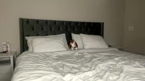 Kekeoutlaw online show from 02-13-26, 02:57