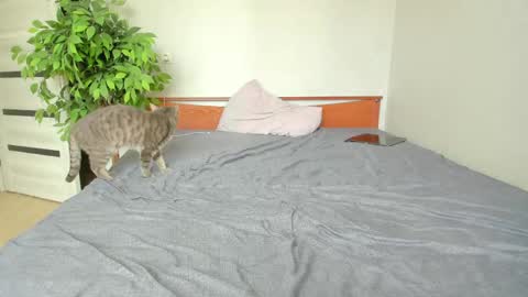Snapshot of kelly_gerzikaaa chatting on 05-02-26, 03:44 kelly_gerzikaaa online show from 05-02-26, 03:44