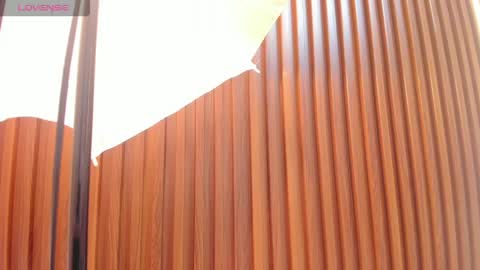    online show from 04-09-26, 12:10