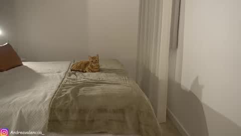 Andrea online show from 03-10-25, 08:23