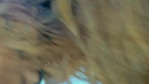 Kendal  online show from 11-27-25, 09:28