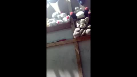 Snapshot of kevin_07279101 chatting on 03-04-26, 04:40 kevin_07279101 online show from 03-04-26, 04:40