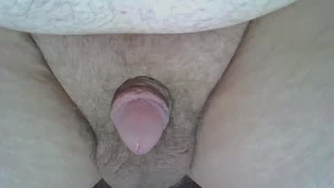 maggot online show from 03-08-25, 08:22