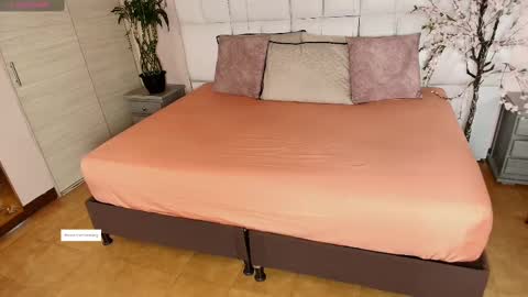    N         M online show from 02-26-25, 11:30