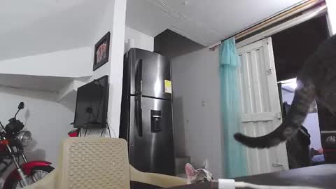 Snapshot of king_russo chatting on 01-17-25, 03:12 king_russo online show from 01-17-25, 03:12