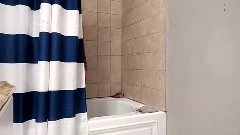 Snapshot of kingdongkonglong chatting on 01-21-25, 05:05 kingdongkonglong online show from 01-21-25, 05:05