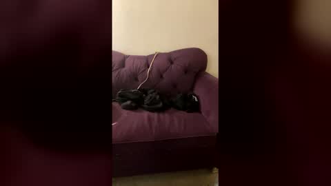 kingecstasyxxxddd online show from 03-08-26, 08:29