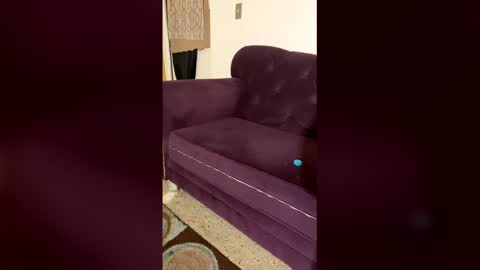 kingecstasyxxxddd online show from 03-13-26, 01:51