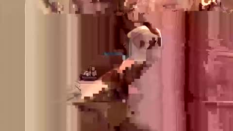 kingslimfresh online show from 03-24-26, 01:10