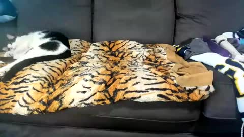 Kinky online show from 02-04-25, 06:17